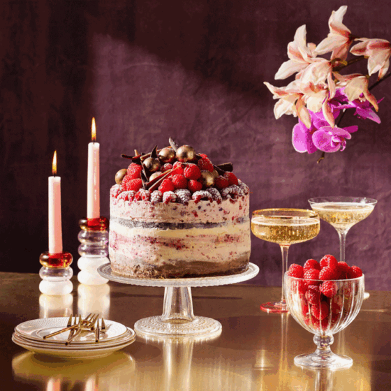Hibiscus, raspberry and chocolate Christmas Dessert Ice cream cake